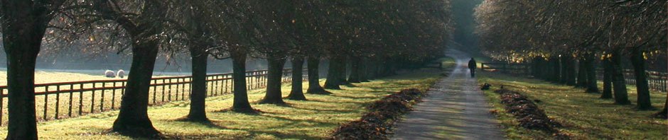 dresden02